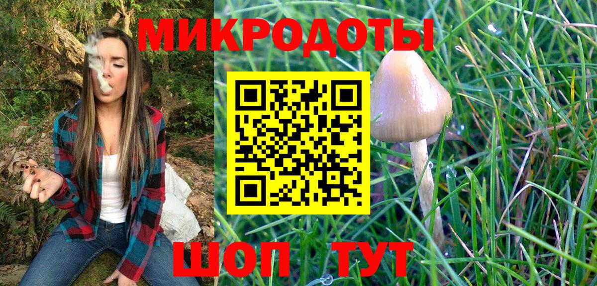 Галлюциногенные грибы мухоморы  Вход с VPN  Кингисепп  Галлюциногенные грибы Magic Shrooms 