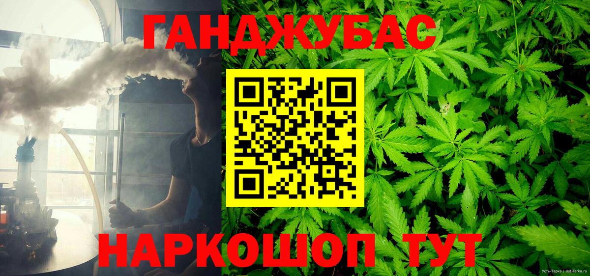 Канабис сатива Кингисепп